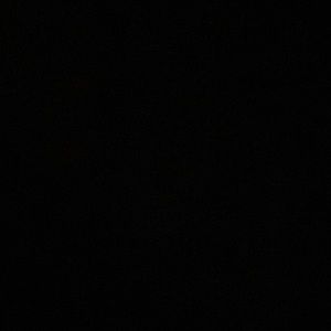 Meet your Posher, Malia